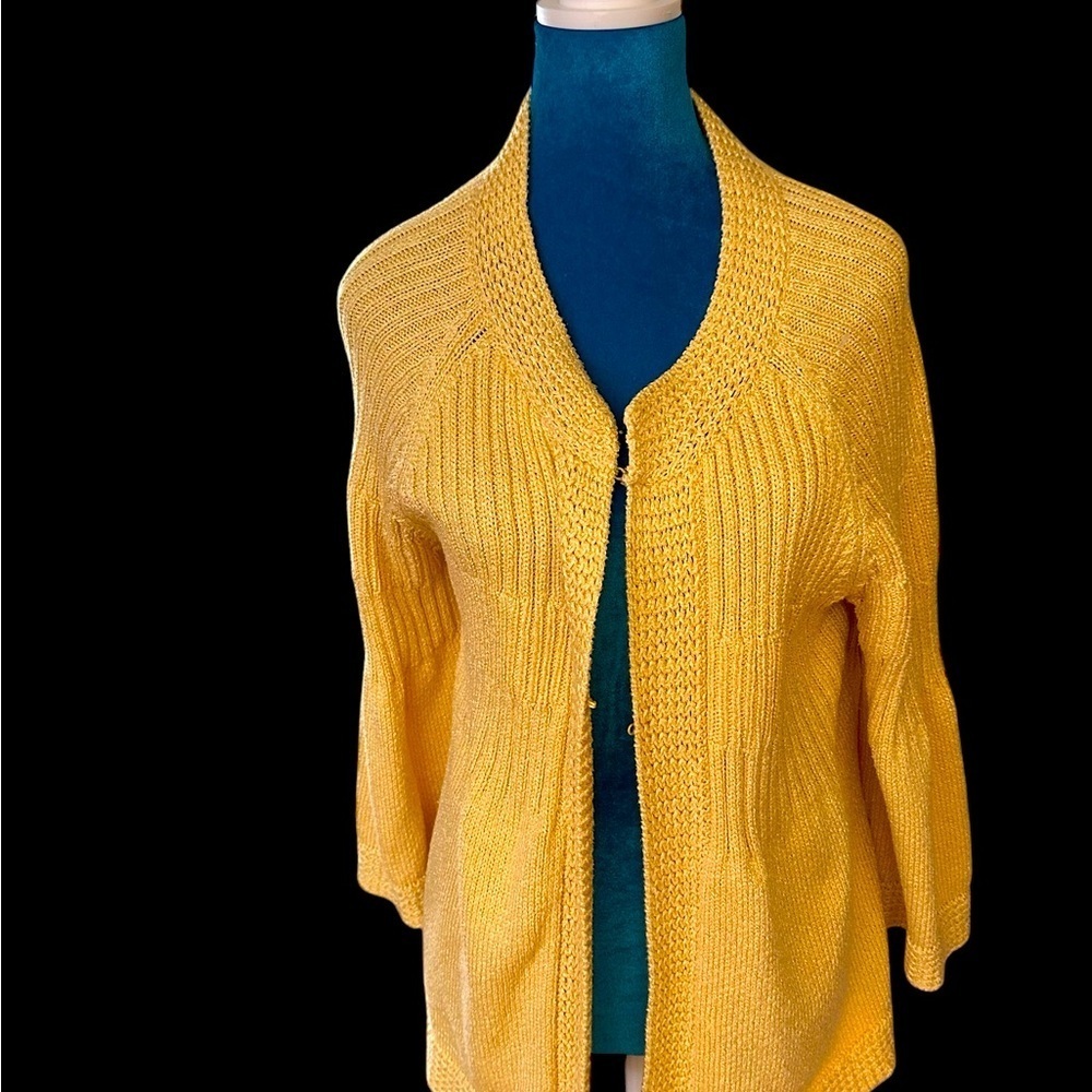 Chicos size 3 hook and Loop sweater beautifully done.